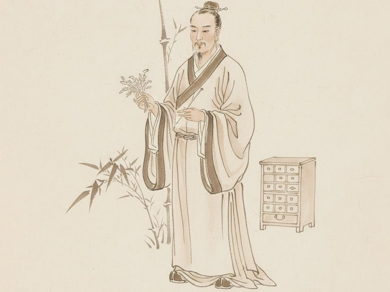 Người có Bác Sĩ cung Mệnh