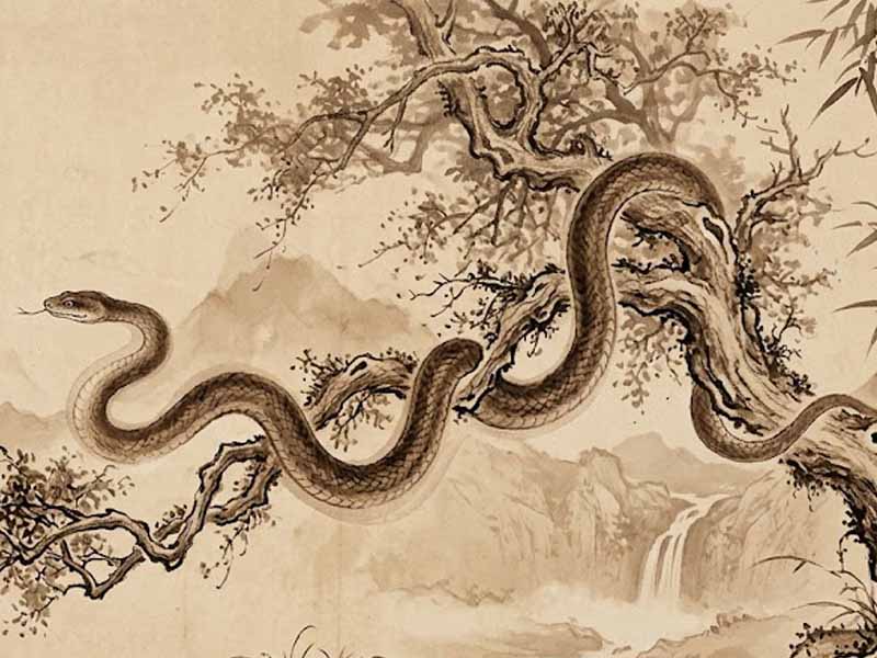 tử vi tuổi tỵ ngày 23-3