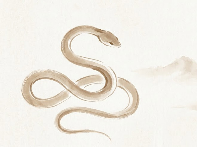 tử vi tuổi tỵ ngày 12-4