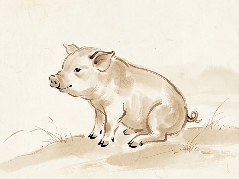 tử vi tuổi hợi ngày 12-4