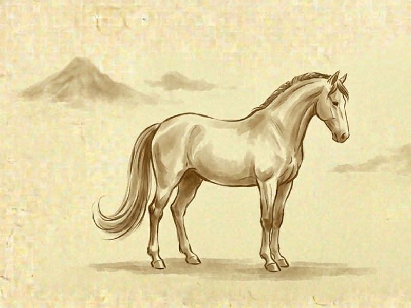 tử vi tuổi ngọ 20-4