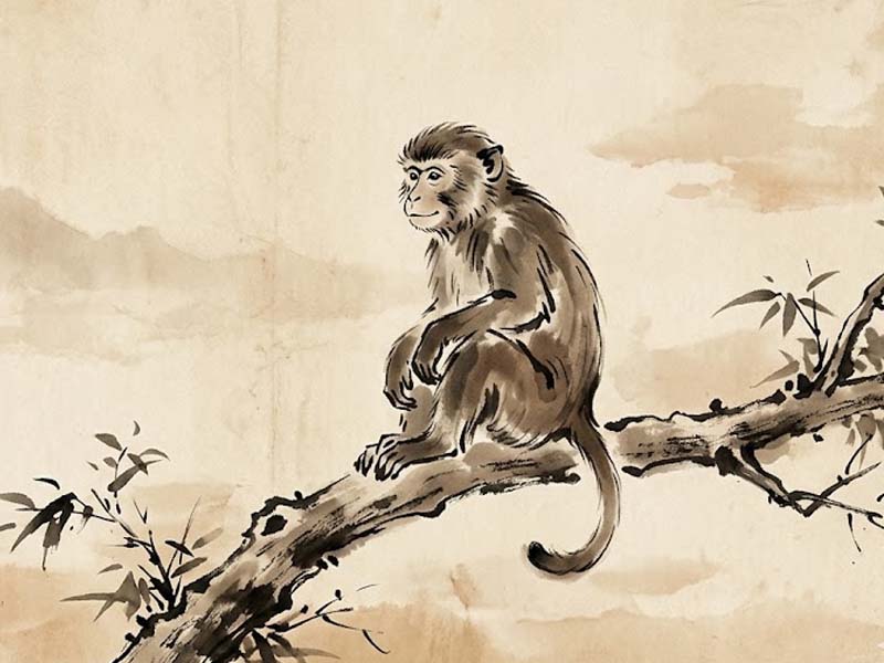 Tử vi 12 con giáp ngày 22/4/2026 tuổi Thân