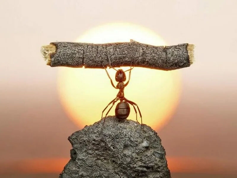 tính cách sao bạch hổ tại mệnh