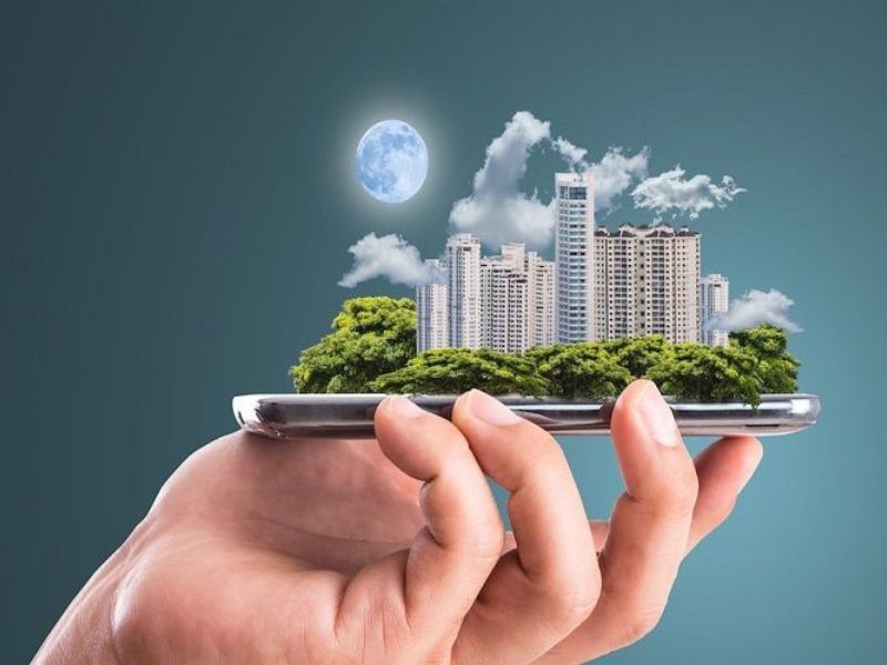 cung điền trạch có hoa cái nhà cao cửa rộng