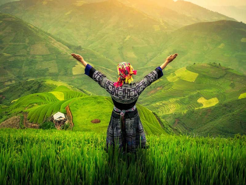 cung phúc đức có sao tham lang