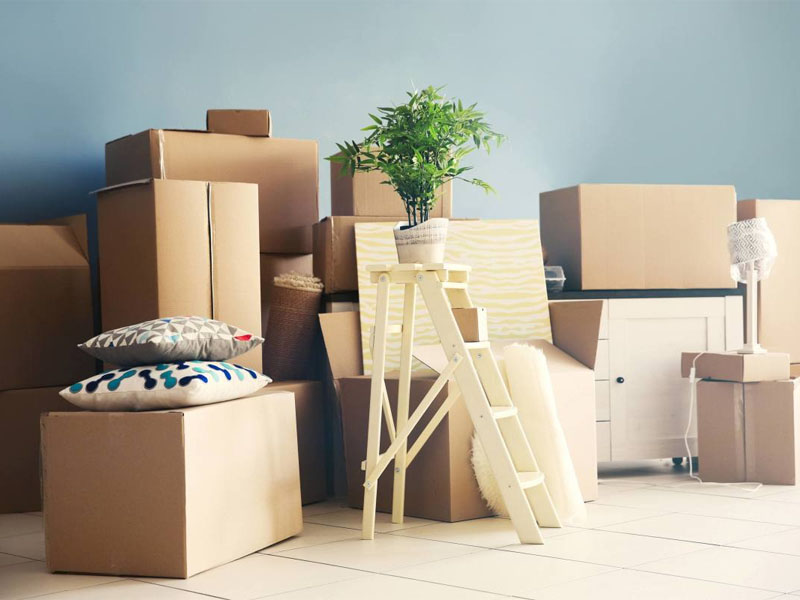sao lưu thiên mã tại cung điền trạch