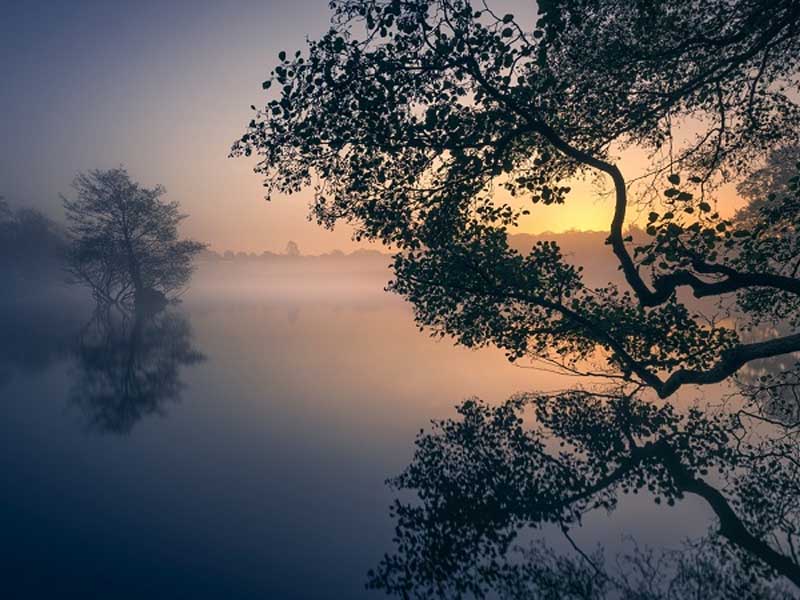sao hóa kỵ trong bộ tứ hóa
