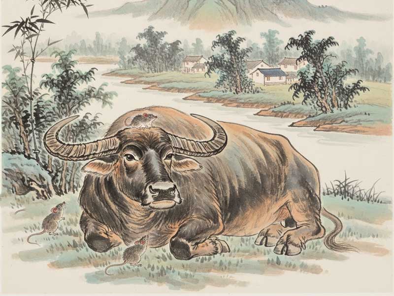 mệnh nhị hợp phụ mẫu