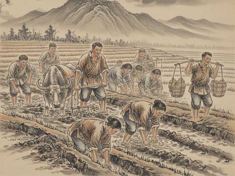 4 dạng mộc tam cục