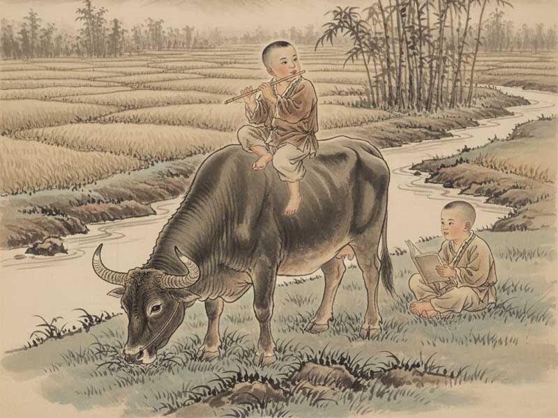các dạng thổ ngũ cục