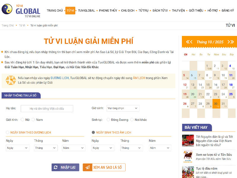 website tuviglobal