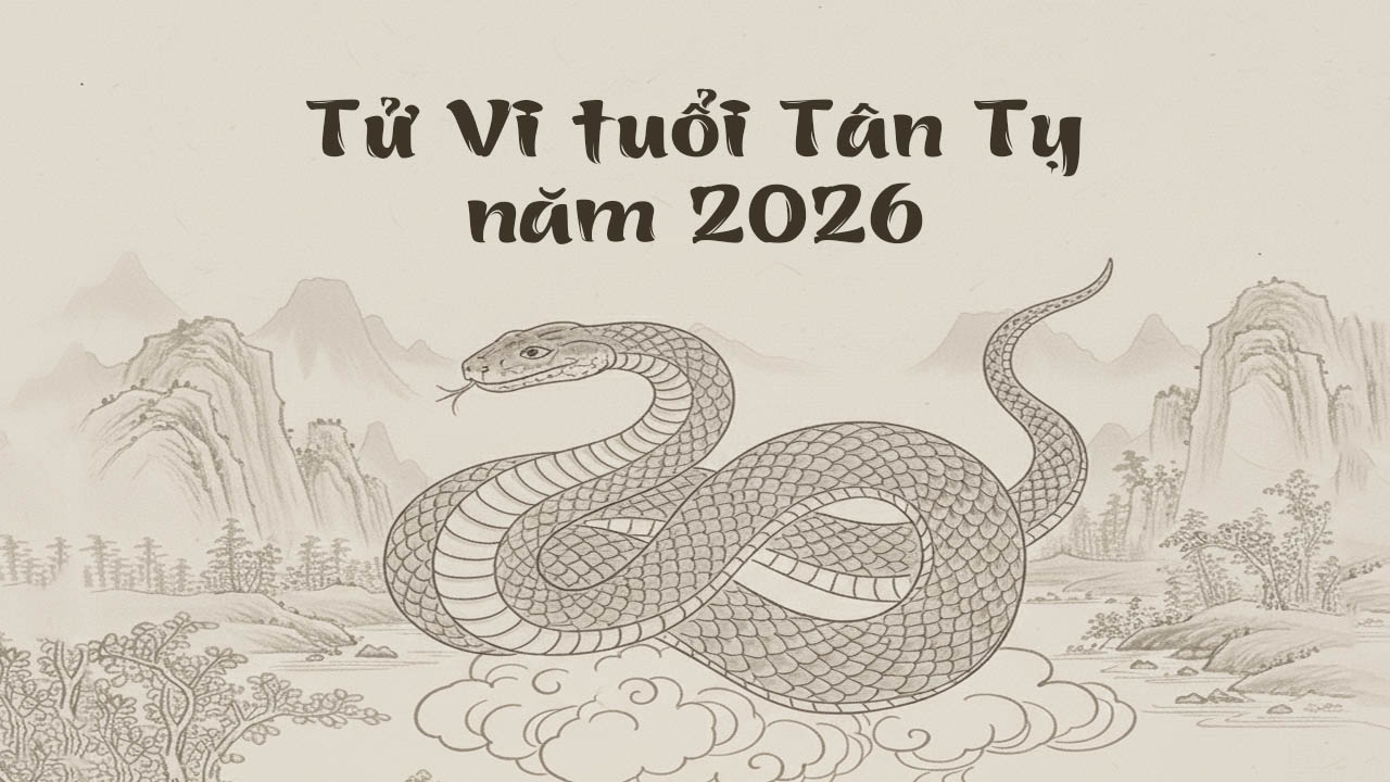 Tử Vi tuổi Tân Tỵ năm 2026 vận đồ công danh được củng cố