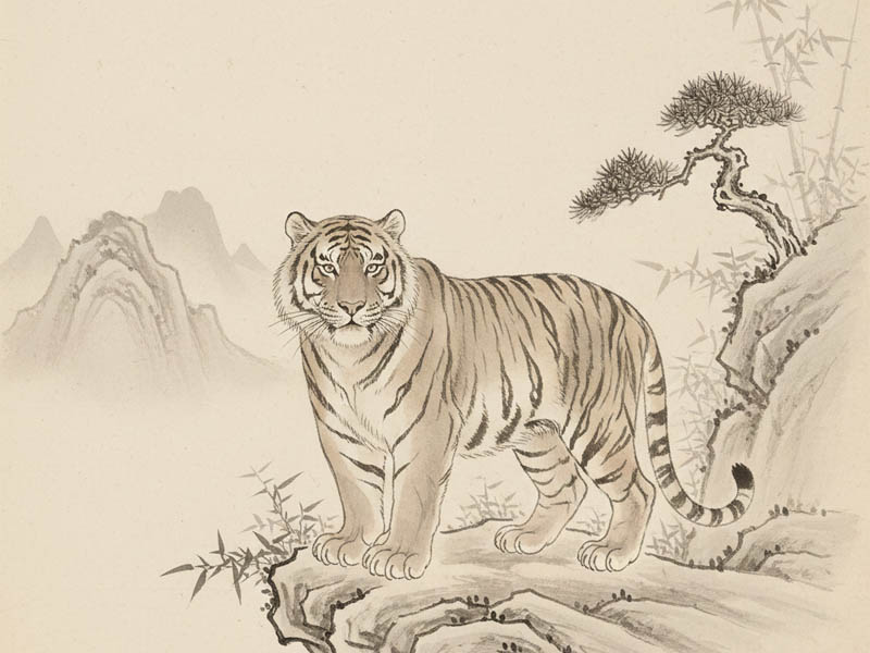 người tuổi mậu dần