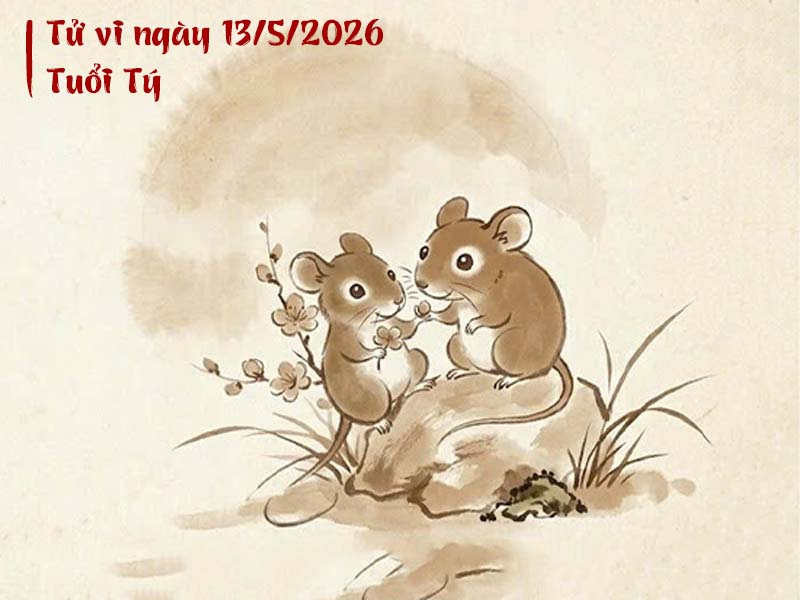 Tử vi ngày 13/5/2026 tuổi Tý