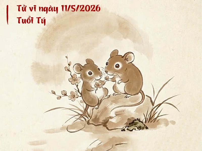 tử vi 12 con giáp ngày 11/5/2026 tuổi Tý